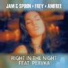 Jam & Spoon - Right in the Night