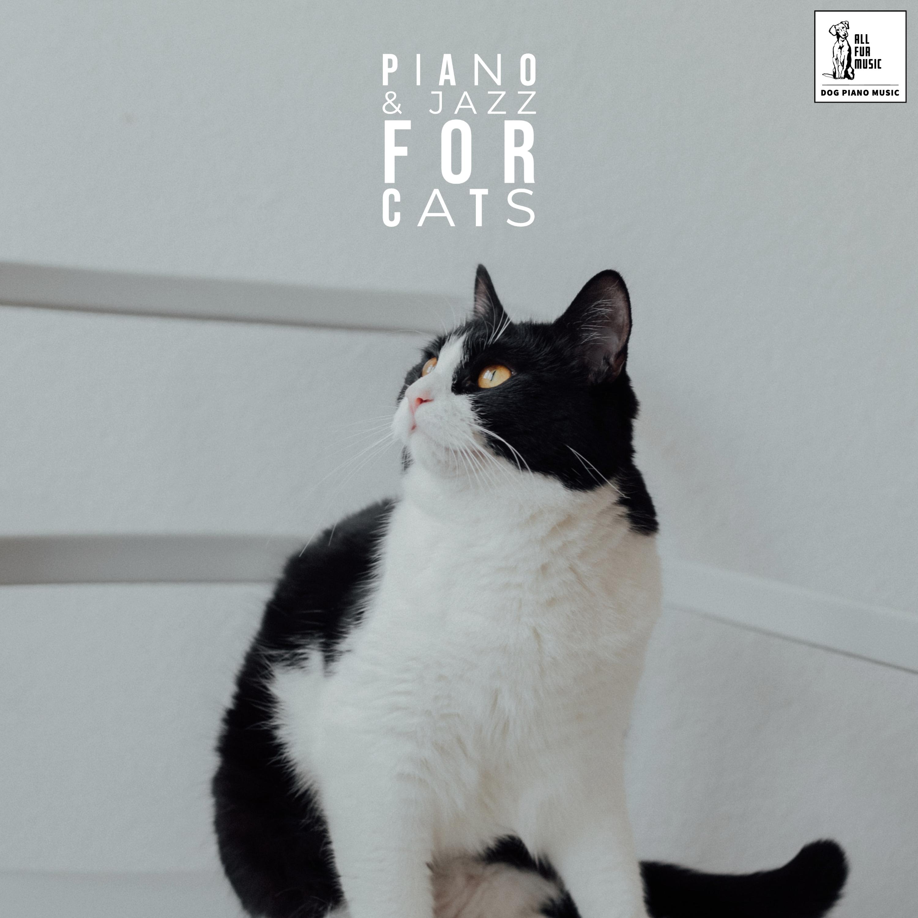 Piano & Jazz For Cats