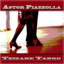 Tzigane Tango专辑