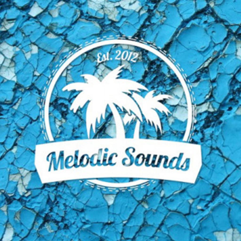 Tropical House Remix 清新电子向