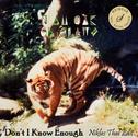 Don't I Know Enough (Niklas Thal Edit)专辑