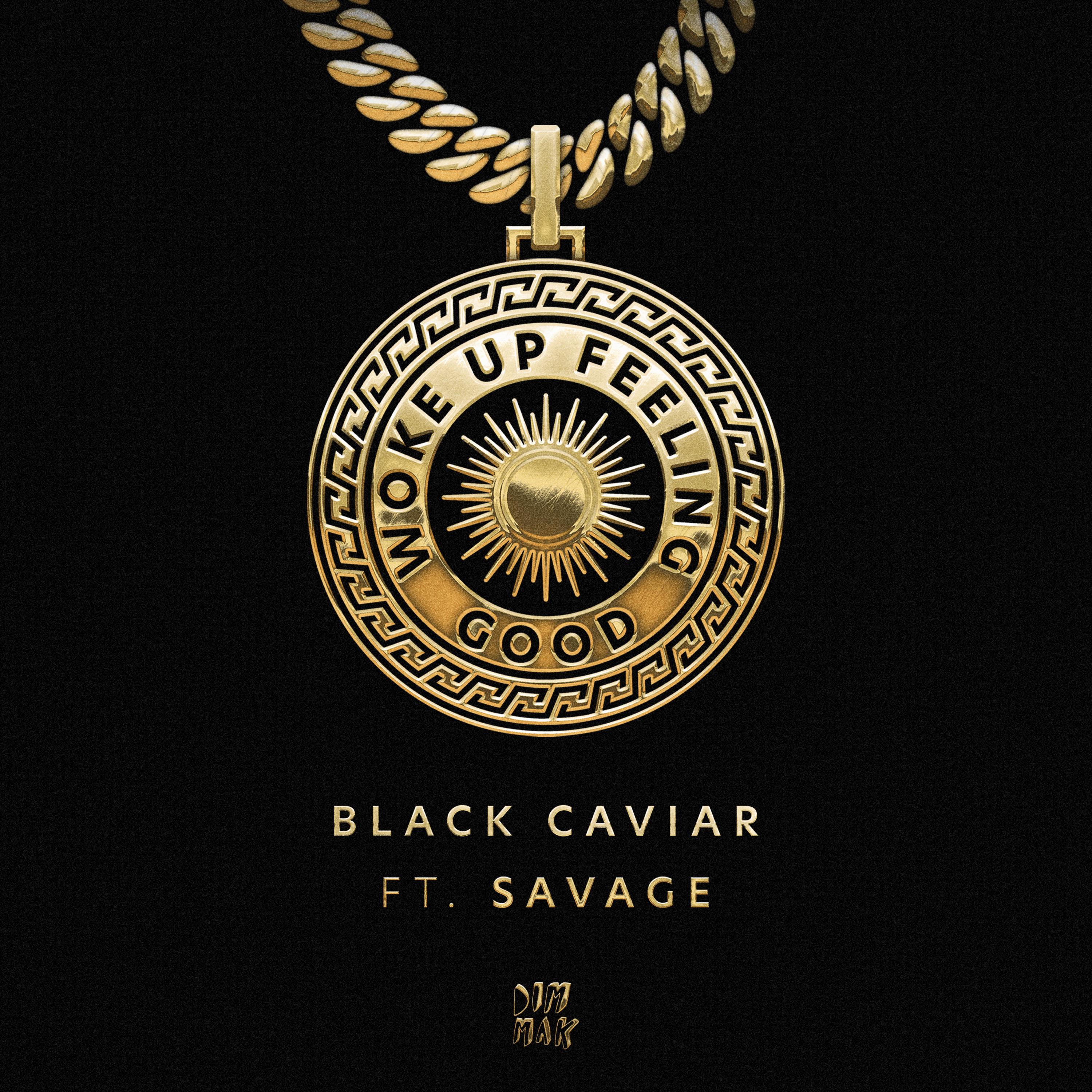 Woke Up Feeling Good (Clean Mix)