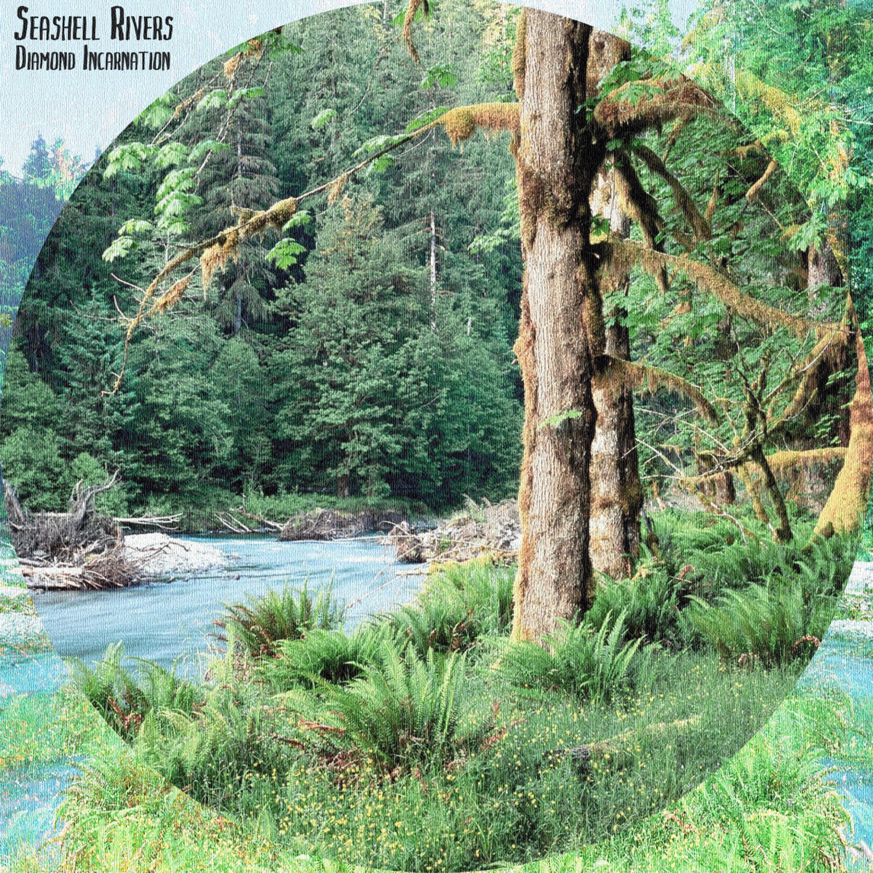 Seashell Rivers