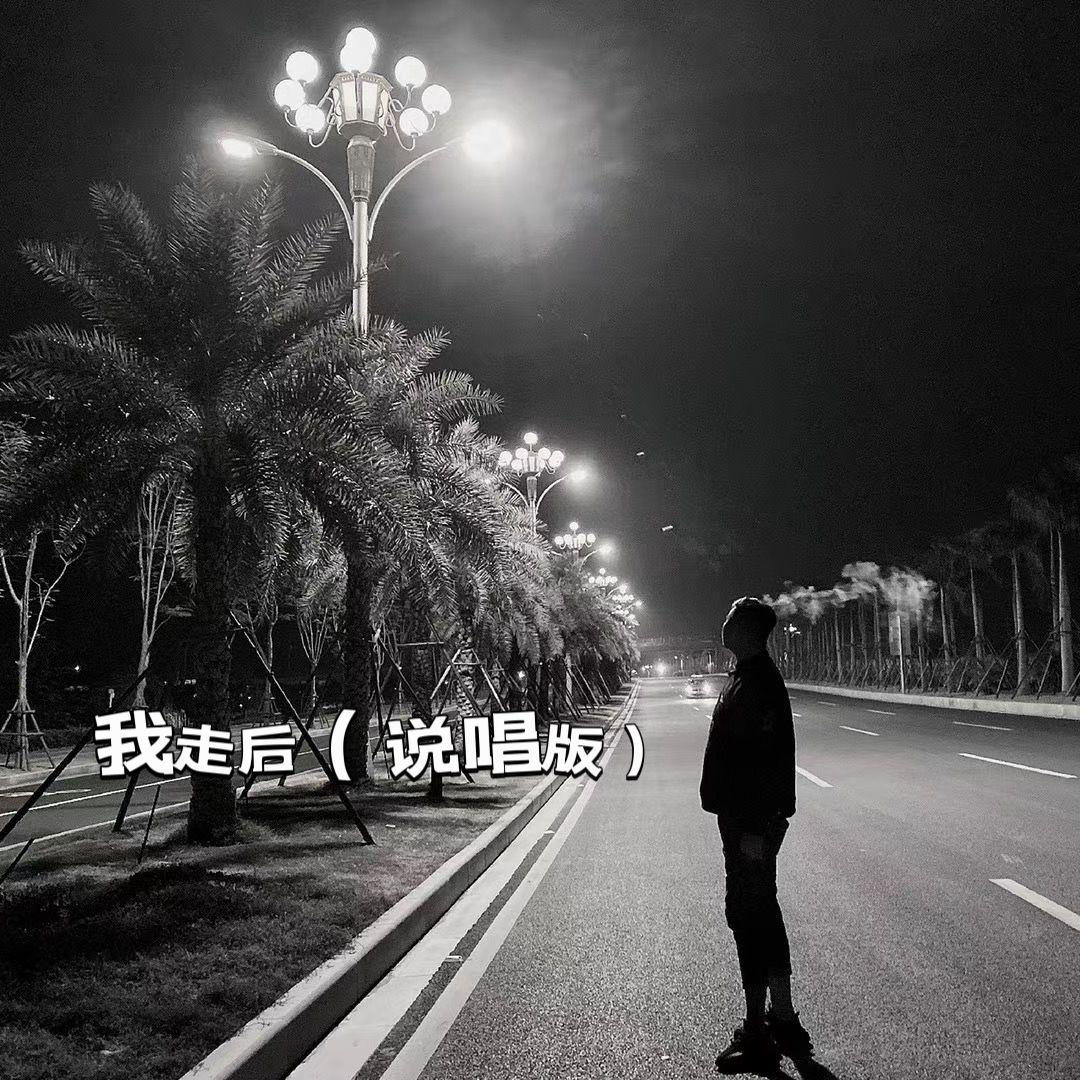 我走后（说唱版）