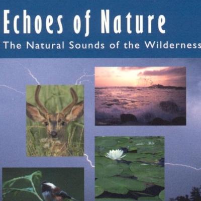 Echoes of Nature