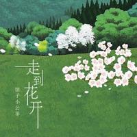 饼子小公举 - 走到花开 (精消带伴唱)伴奏