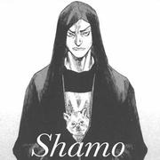 shamo