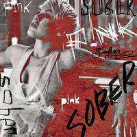 Sober - P!nk Pink ( Instrumental + Demo Single )