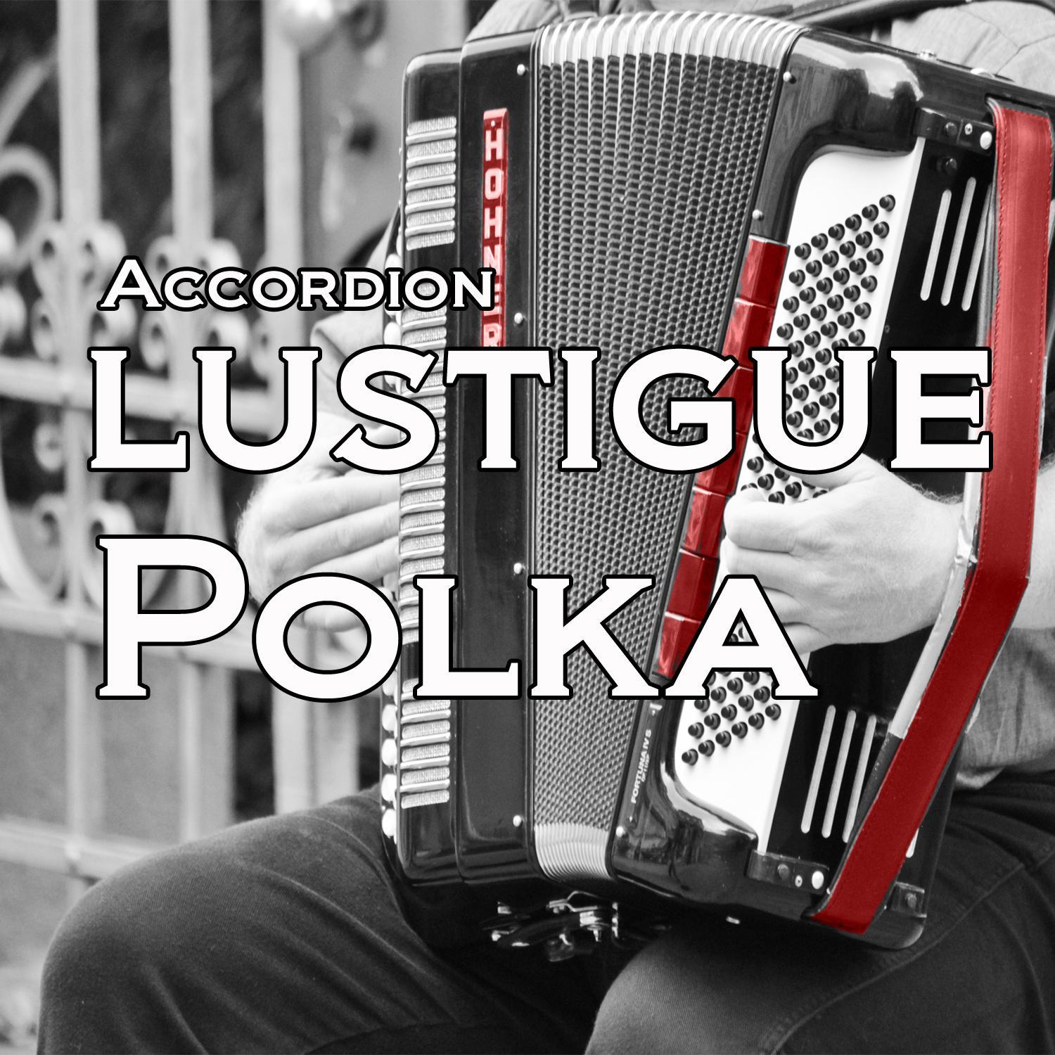 Accordion Lustige Polka, Vol. 4