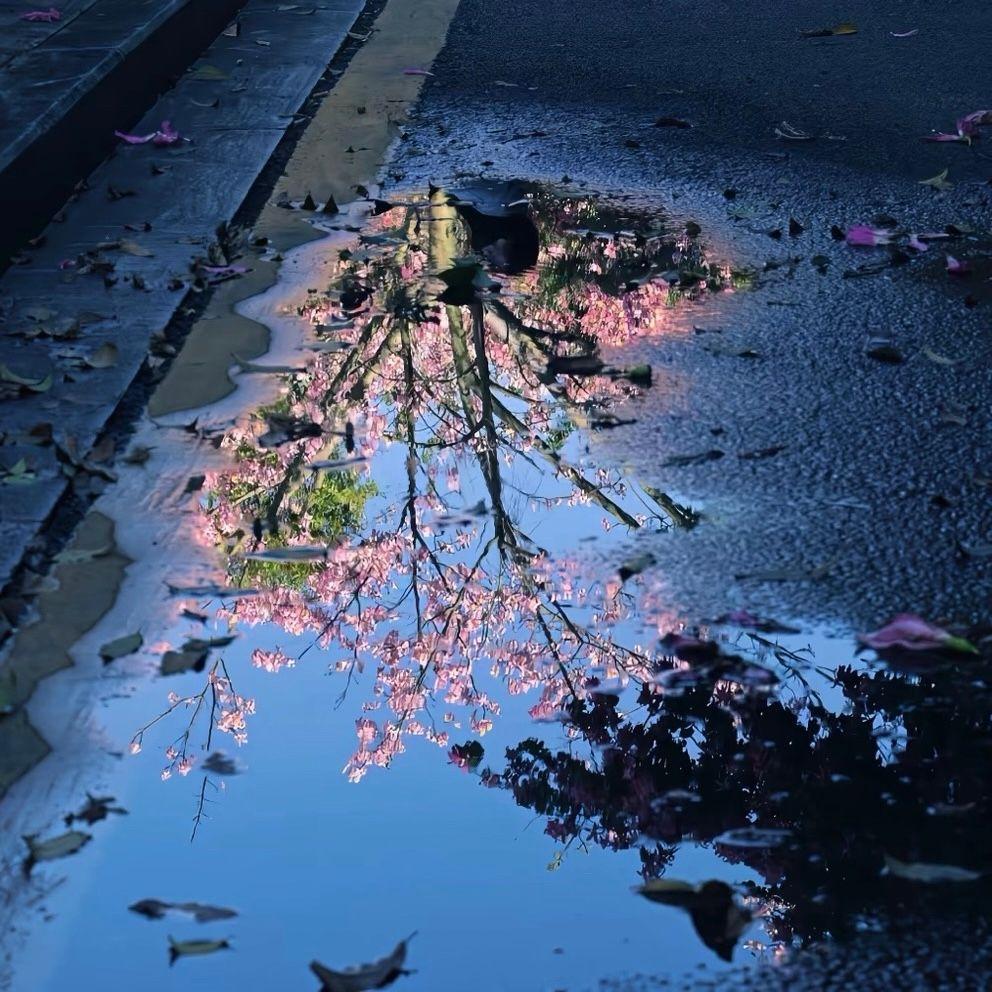 Cảm Ơn Bạn(谢谢谢谢)