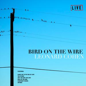 Bird On The Wire (Karaoke) （原版立体声） （降8半音）