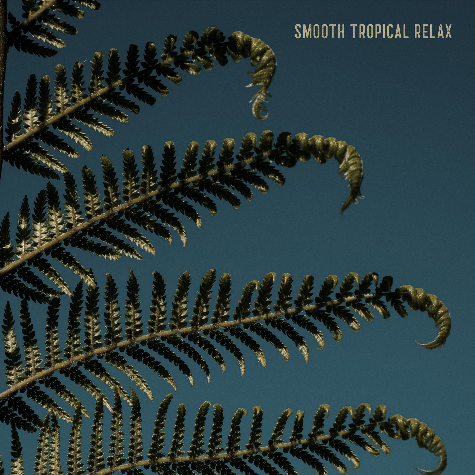 Smooth Tropical Relax - Jazz Music Relaxation, Easy Listening Jazz,Bar Lounge Music