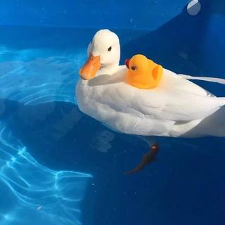 【Bright Vachirawit】 Play on Spotify