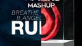 Hold On Ruins (Wavers Mashup)专辑