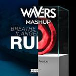 Hold On Ruins (Wavers Mashup)专辑