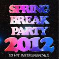 Spring Break Party 2012: 50 Hit Instrumentals