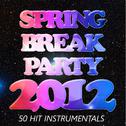 Spring Break Party 2012: 50 Hit Instrumentals专辑