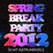 Spring Break Party 2012: 50 Hit Instrumentals专辑