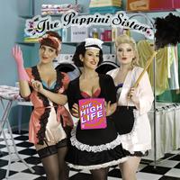 Material Girl - The Puppini Sisters (OBT Instrumental) 无和声伴奏