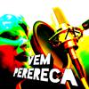 Monstrão No Beat - Vem Perereca remix