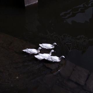 这城市风很大孤独的人总是晚回家