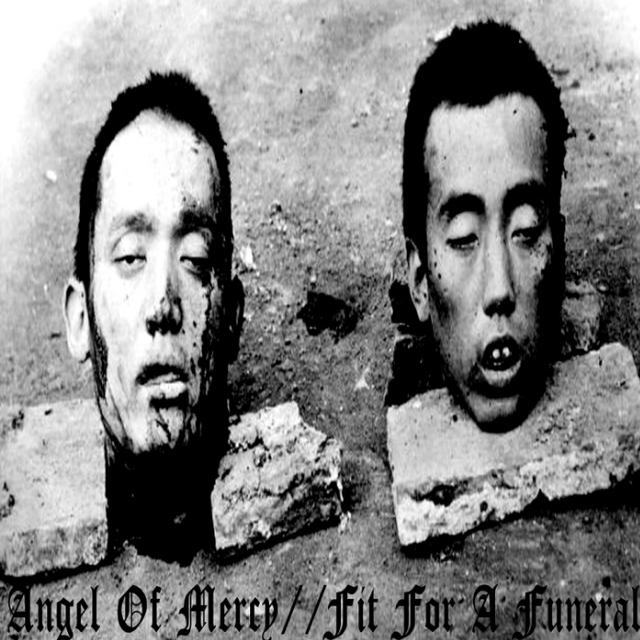 Split with Angel Of Mercy