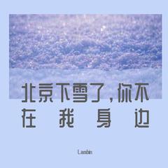 北京下雪了 你不在我身边Remix