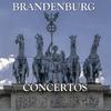 Brandenburg Concerto No.1 in F Major, BWV 1046: IV. Menuetto