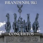 Brandenburg Concerto No. 2 in F Major, BWV 1047: I. Allegro