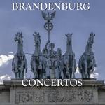 Brandenburg Concerto No. 2 in F Major, BWV 1047: II. Andante