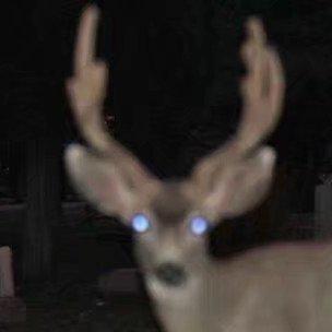 忘不了的人就像月亮 到了晚上才特别明显.