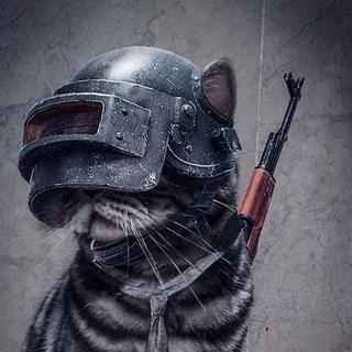 绝地求生战歌-----听完29杀(oﾟvﾟ)ノ