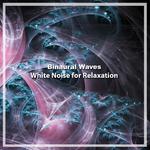 14 Binaural Waves & White Noise for Relaxation专辑