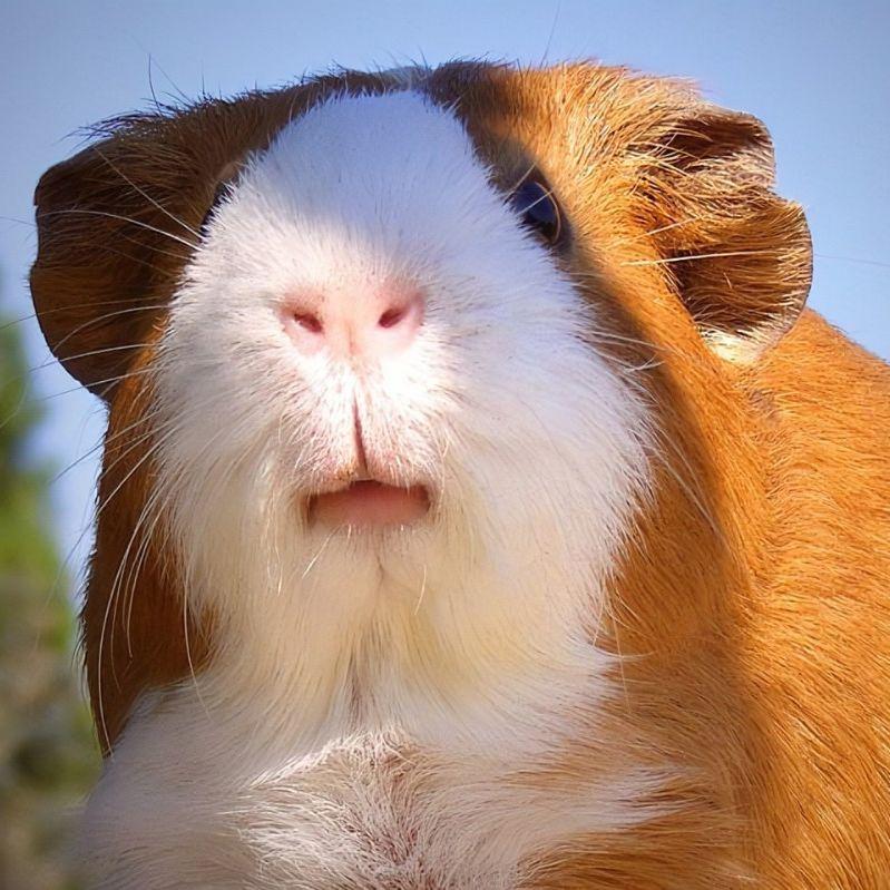 青春的记忆-整曲 伴奏