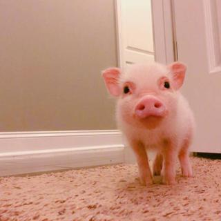 ɪ ᴀᴍ ɪɴ ʟᴏᴠᴇ ᴡɪᴛʜ ʏᴏᴜ