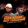 DL no Beat - Malandra Sem Vergonha (feat. Mc Pw)