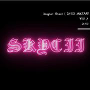 SKYCII-Gnagnam Bounce（SKYCII MIXTAPE V05）（SKYCII remix）