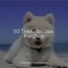 Sleep Music For Dogs - Elixir of Life