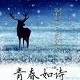 《青春如诗》原声带