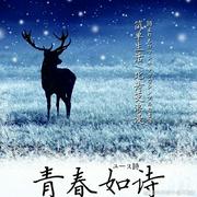 《青春如诗》原声带