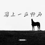 爱上一匹野马专辑