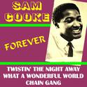 Sam Cooke Forever专辑