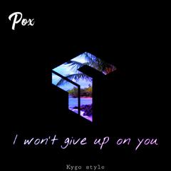 I won't give up on you (Instrumental)