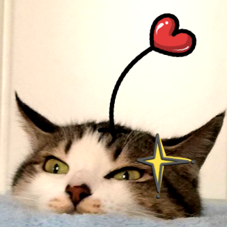 猫神辣椒酱的推荐音乐
