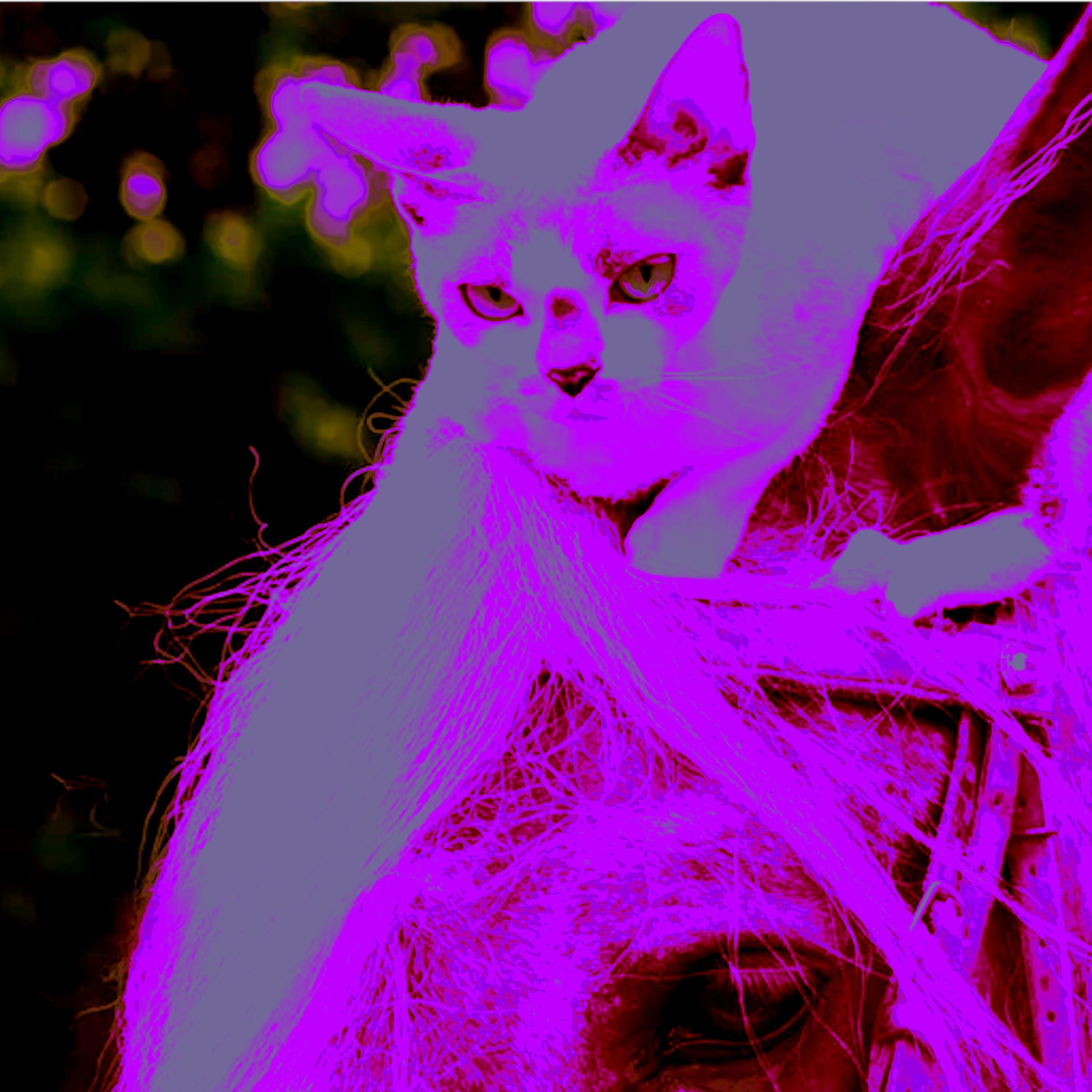 The Edit