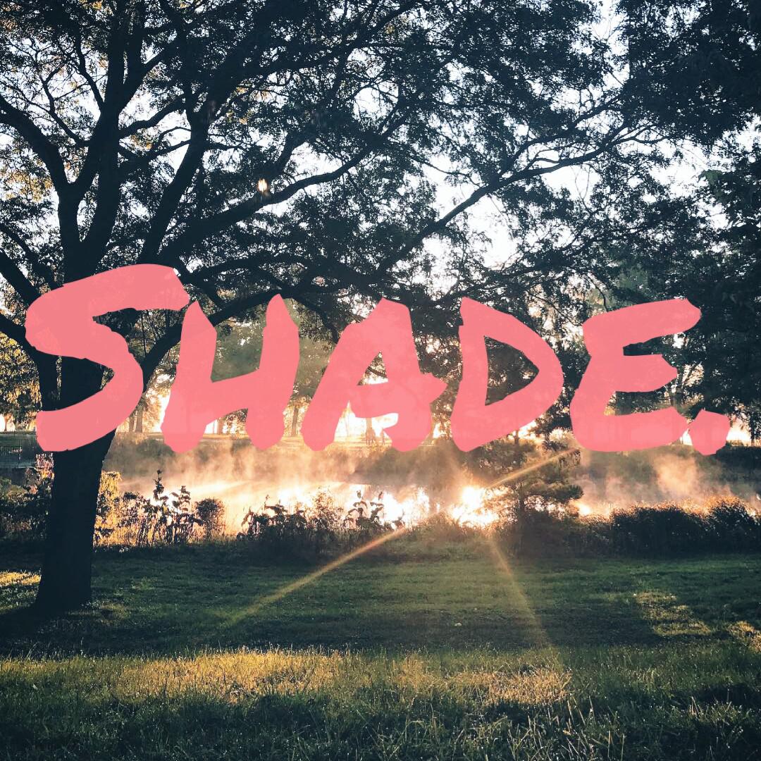 Shade.专辑