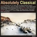 Absolutely Classical Vol. 134专辑