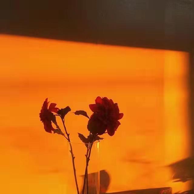 爱如潮水