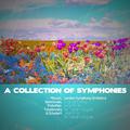 A Collection of Symphonies by Mozart, Beethoven, Prokofiev, Tchaikovsky & Schubert (Digitally Remast